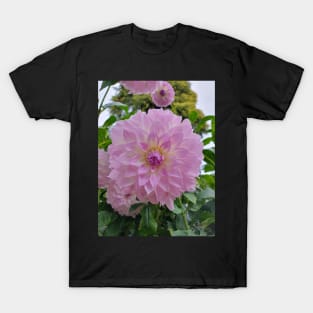 Pale Purple Dahlia T-Shirt